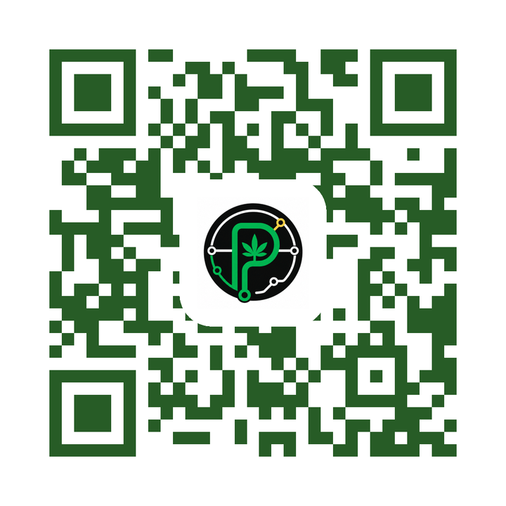 A green QR code with The NYC Plug logo in the centre