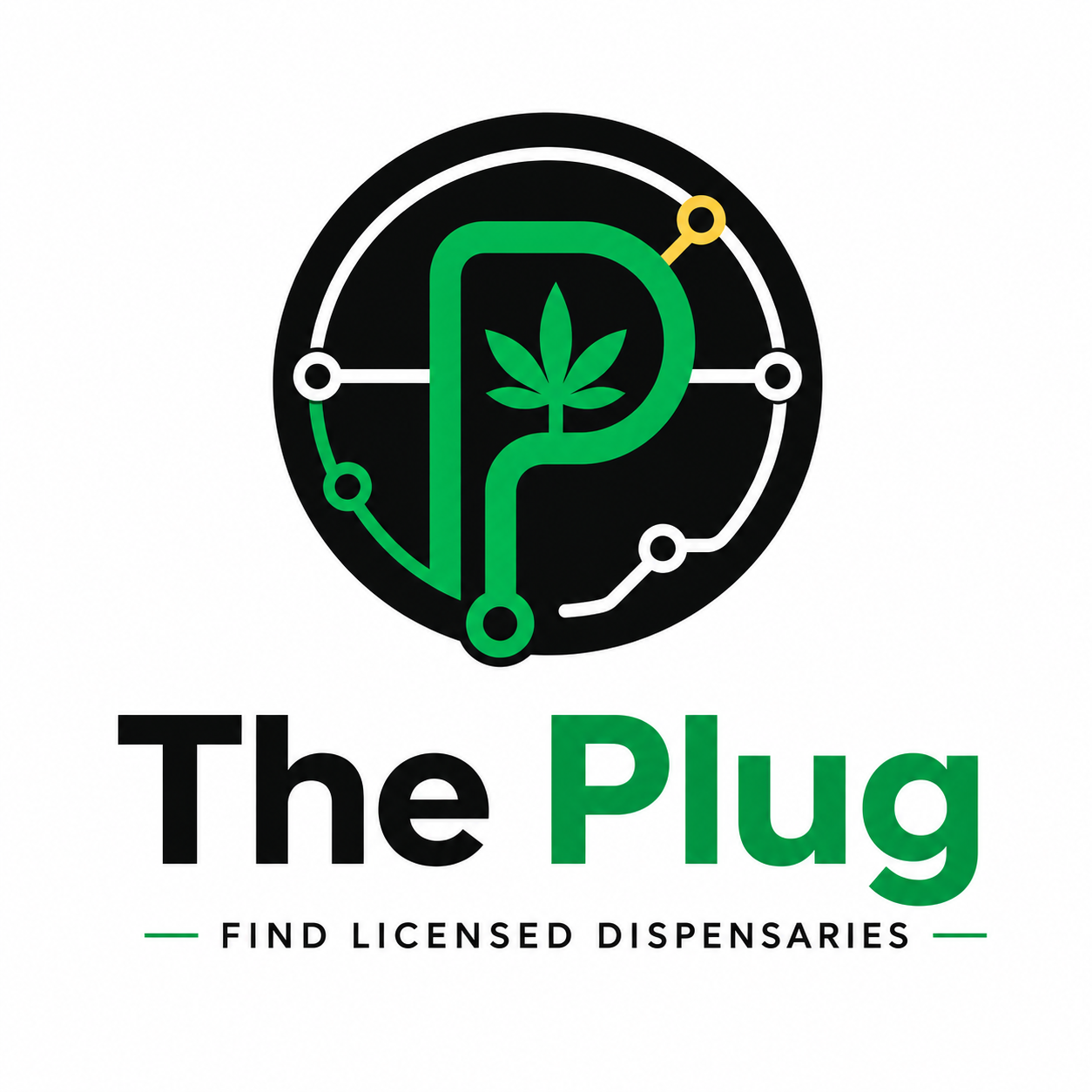 The Plug